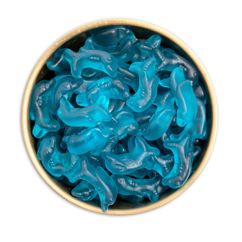 Lolli and Pops Bulk Dolphin Gummies